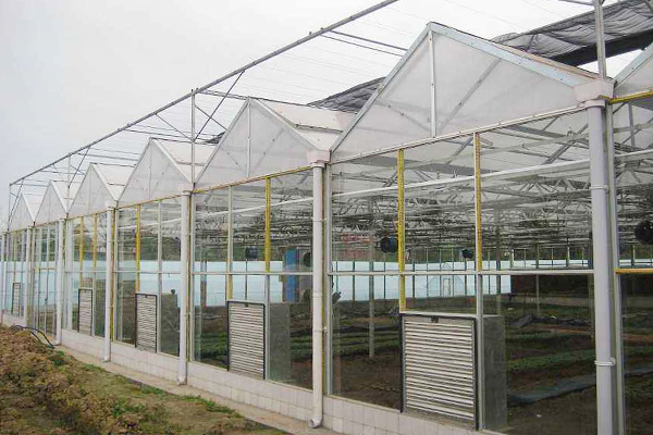 日光溫室養殖大棚