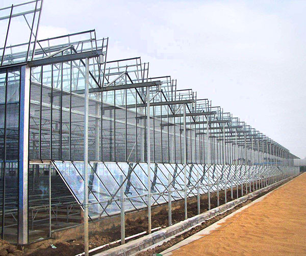 新疆玻璃溫室大棚